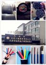 黑龙江 MYPT 3*35+3*16 6/10KV 高压橡套电缆 矿山机械线