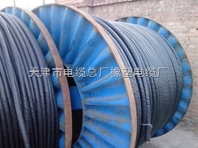 YCW 750V以下2*70+1*25 橡套电缆线 河北 直销 现货