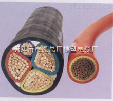 YCW 450/750V橡套电缆视频资料资料