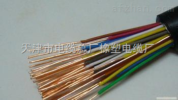 DJFFRP22F46氟塑料电缆 DJFFRP22F46 软芯钢丝屏蔽计算机电缆【高温防腐】