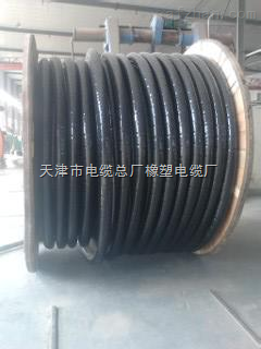 天津电缆精品 YHD 2*1 3*1 4*1 5*1 ---