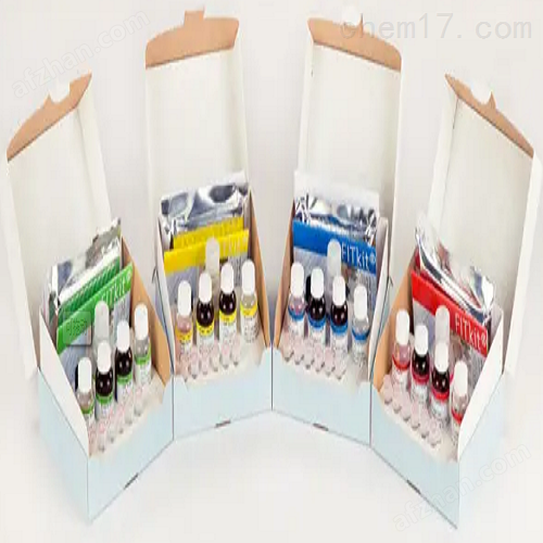 大鼠缪勒管物质;抗缪勒管激素(MIS;AMH)elisa试剂盒